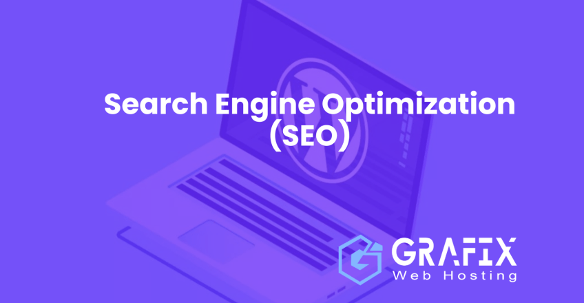 Search Engine Optimization (SEO)